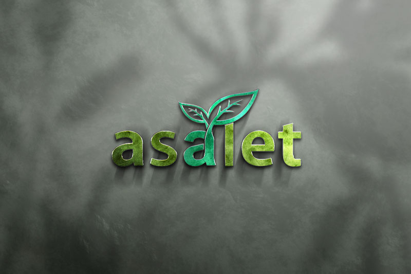 Asalet Aid Association